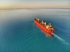 Vessel manager